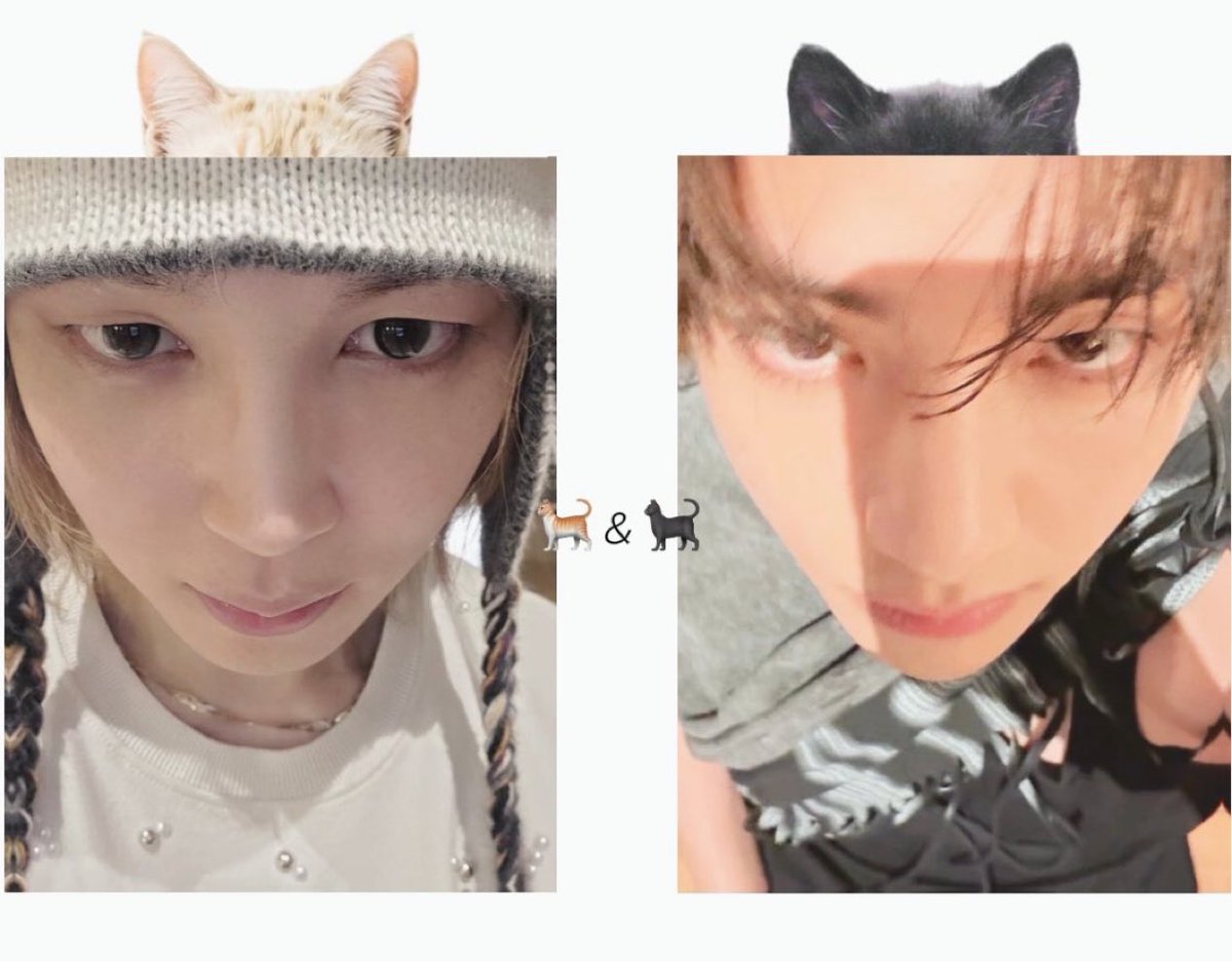 whosjimo's tweet photo. ⋆˚꩜｡ ⋆ ᰔ https://t.co/dKCkoMO3KX