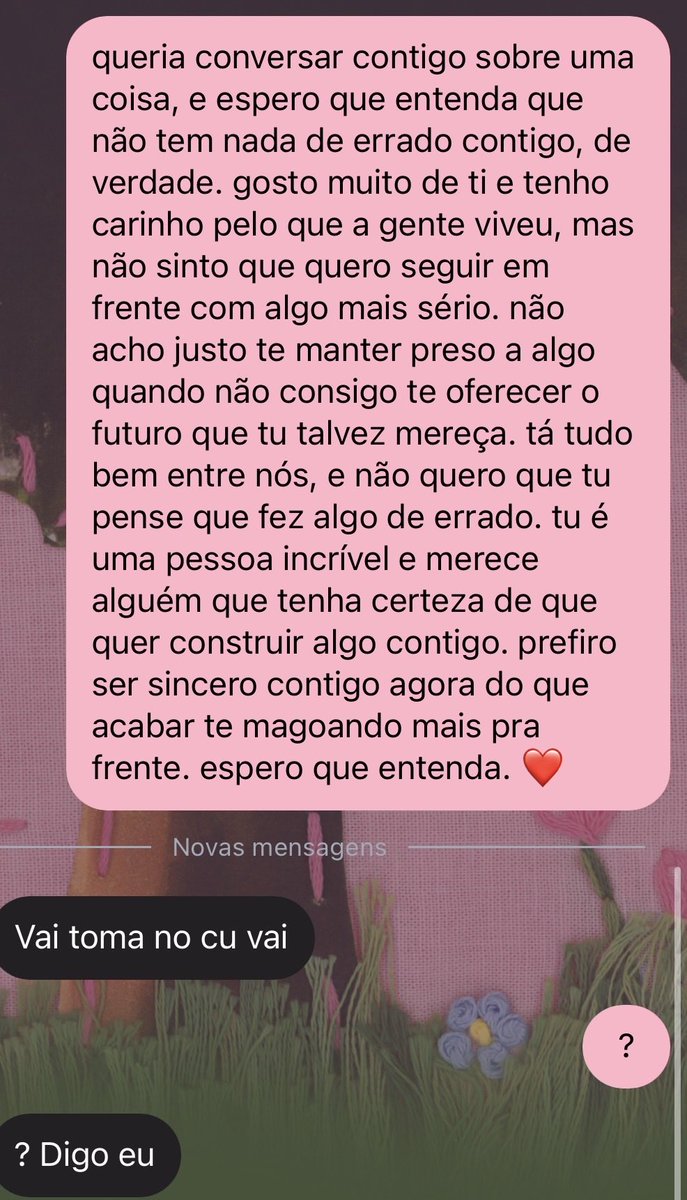 ninicolices's tweet photo. Fui “terminar” com a minha ficante pq não quero nada sério por agora e ela me respondeu assim vsfkkkkkkk https://t.co/BFmkvj9aDC