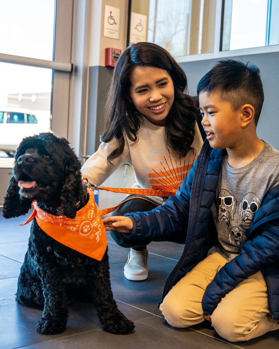 RHBSubaru's tweet photo. Together, we can make a difference for shelter pets. Riverhead Bay Subaru is excited to celebrate Subaru Loves Pets and raise awareness of animal adoption and welfare. Follow the link in comments to learn more: https://t.co/ZiYDNWRoMH 🐾❤️ https://t.co/fWXykuCnNq