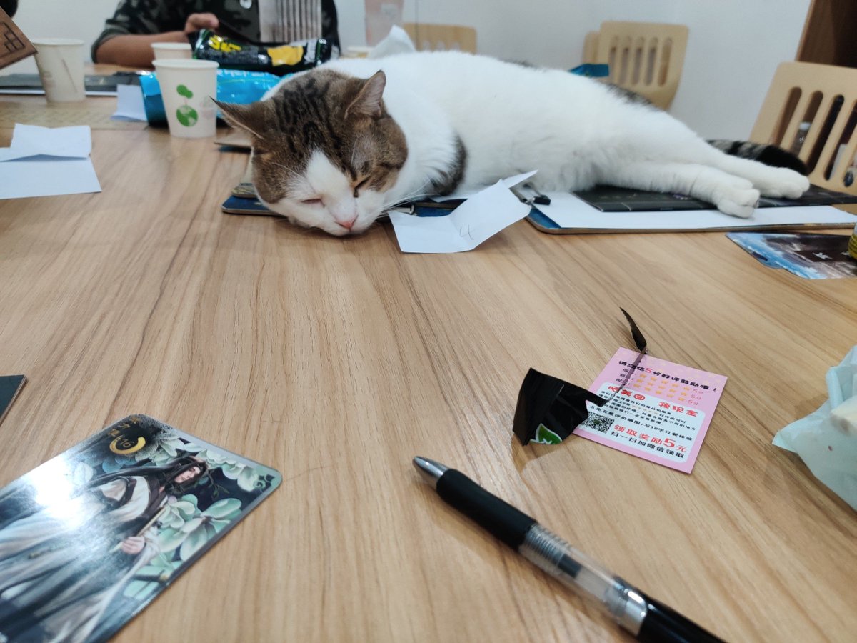 kopy30's tweet photo. https://t.co/gQhbVnCcp9