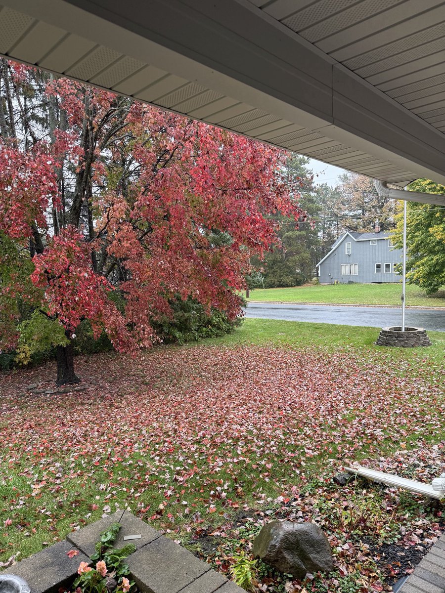 mwisry's tweet photo. fall season 🍁🍂 https://t.co/ai4eEuDWjp