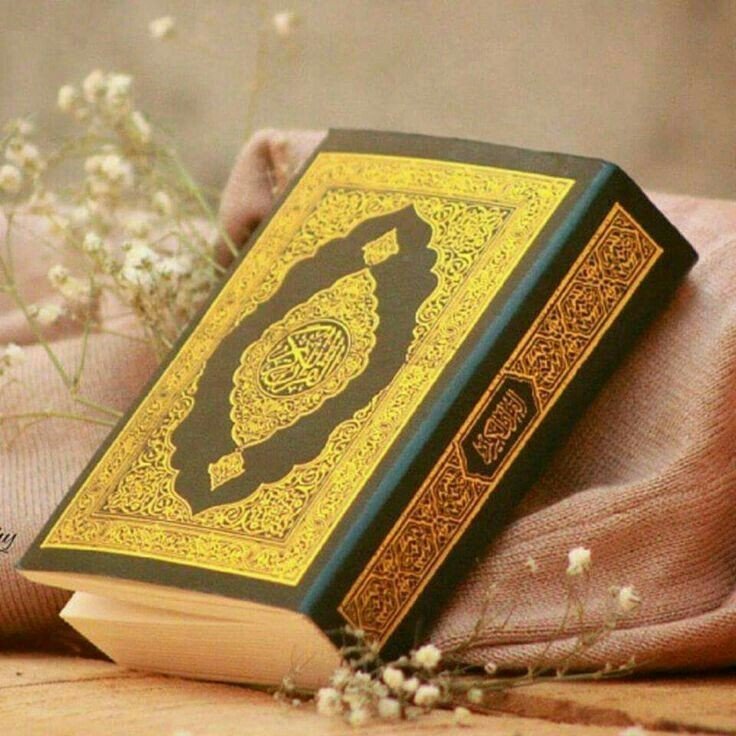 rusulwr's tweet photo. ذَٰلِكَ الْڪِتَابُ لَا رَيْبَ ۛ فِيهِ ۛ هُدًى لِلْمُتَّقِينَ❤️* https://t.co/BQQjLsK9AL