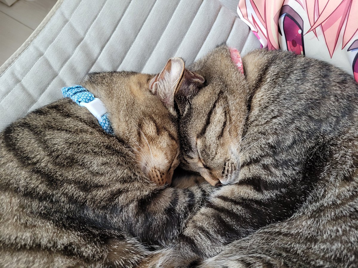 utagame04211003's tweet photo. @cure_cho https://t.co/KFQthVoc2N