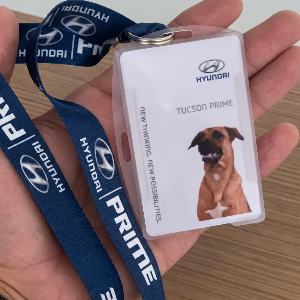 EnsedeCiencia's tweet photo. 🐶🚗 Un gerente de Hyundai en Brasil adoptó a un perro callejero y lo nombró Tucson Prime. Desde 2020, tiene credencial y un cargo como consultor: recibe a los clientes y conquista corazones https://t.co/Go0LmYoPZU