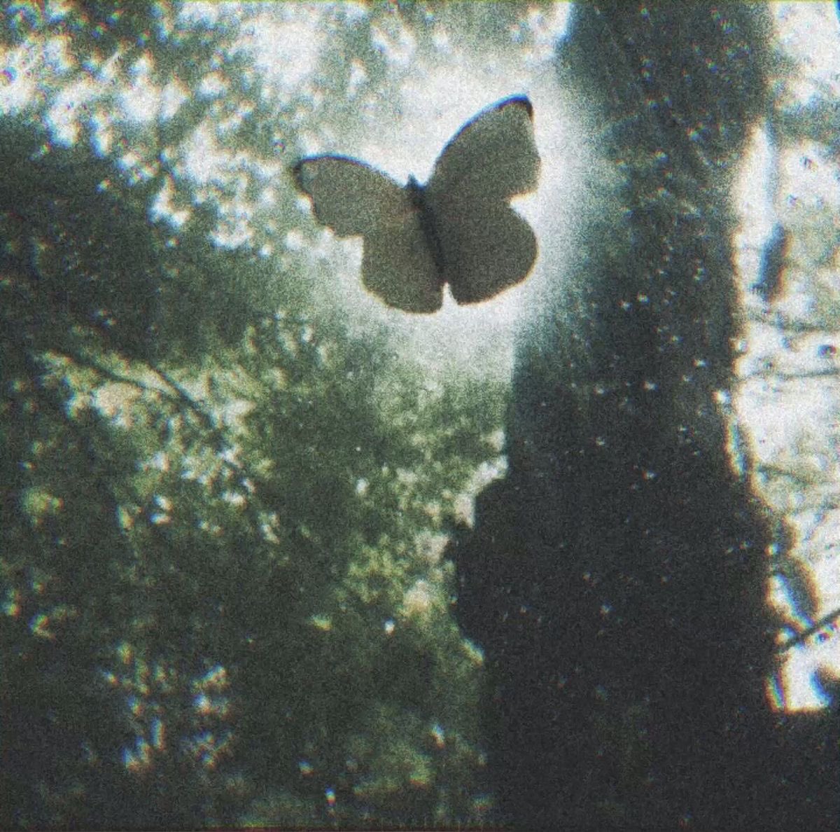 lostsirenbriar's tweet photo. “Do you know anything about butterflies, Shanks? No? Butterflies aren’t just attracted to flowers… they’re attracted to decay, rot. And my life has been surrounded by nothing but decay and rot.” - Briar to Shanks in a later chapter. https://t.co/ykOwalJcHj