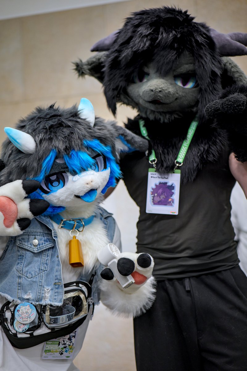 NickTheGoofball's tweet photo. Look at this cutie!~
#FURRAID #FURRAID2026 https://t.co/ftQQBWE7fC