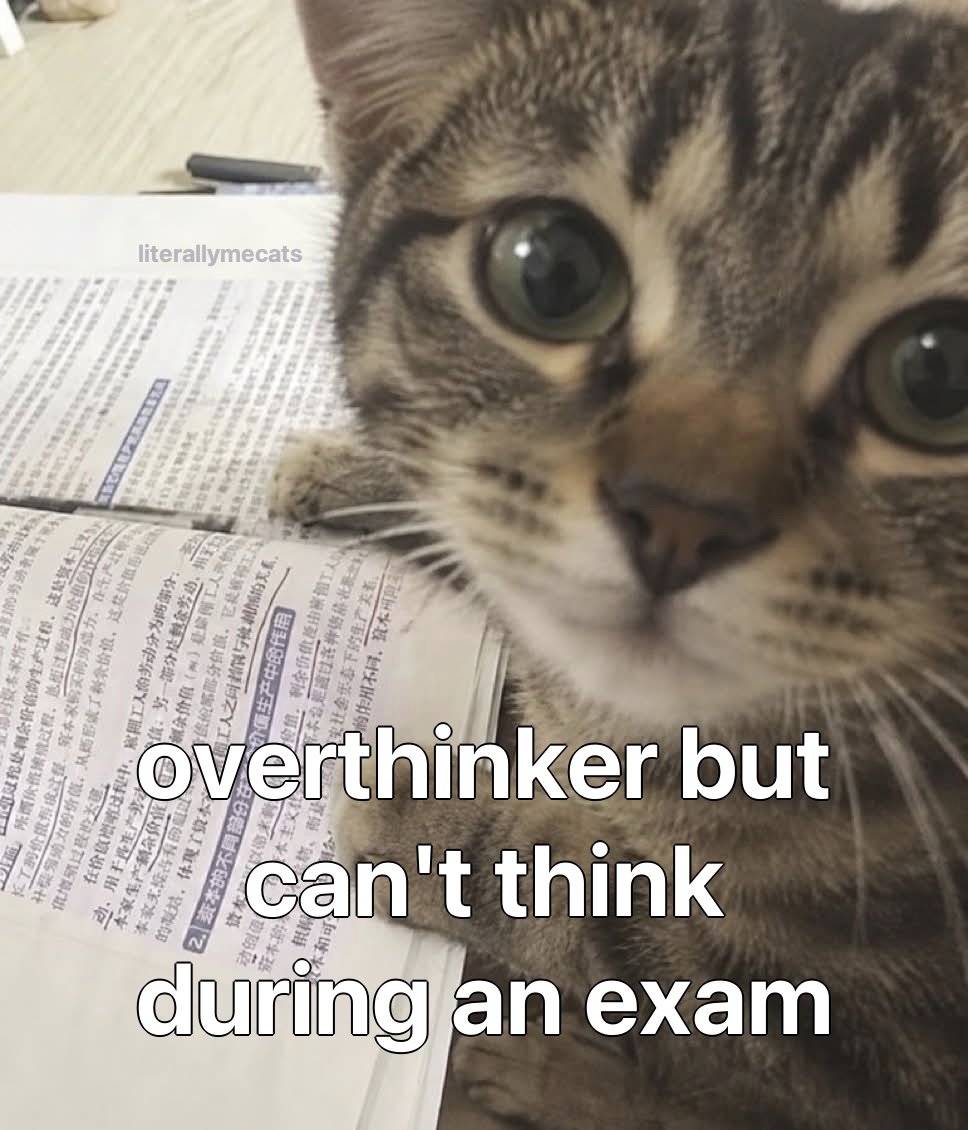 literallymecats's tweet photo. https://t.co/iMY5lwO6bi