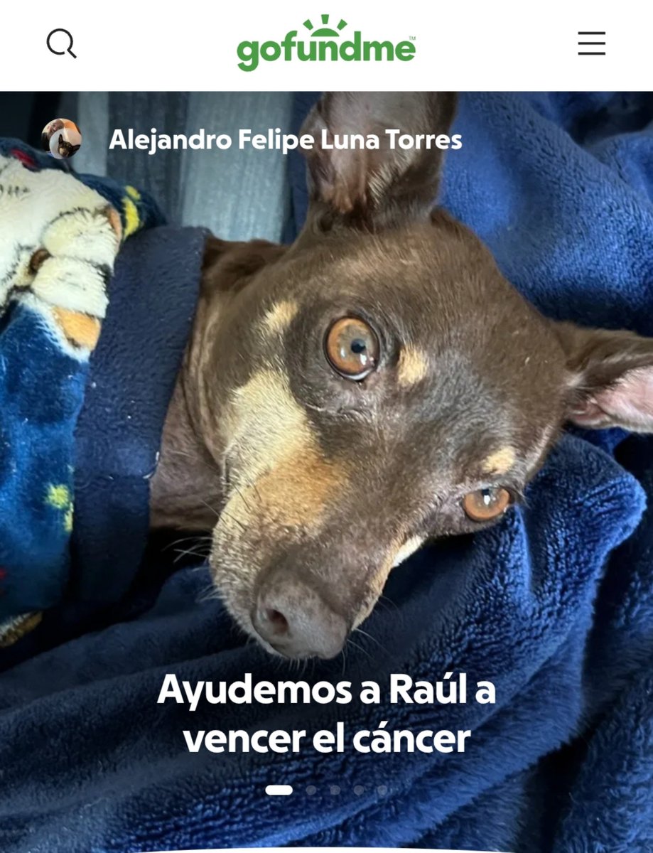 defthead's tweet photo. Ayudemos a Ramón, el perrito de mi amigo @mrmoon37

Apoya esta recaudación de fondos donando o compartiendo. Cada ayuda marca la diferencia. https://t.co/kk6QtaVpFN https://t.co/uCnDK5ySuj