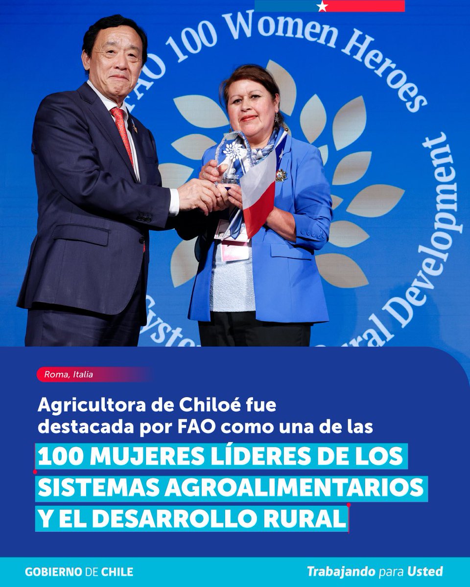 MinagriCL's tweet photo. 👩‍🌾✨ ¡La agricultura de Chile destaca a nivel internacional!

En Roma, la @FAO reconoció a Cecilia Guineo, productora orgánica y líder huilliche de Coipomó, Ancud, Chiloé, como una de las 100 mujeres líderes de los sistemas agroalimentarios y el desarrollo rural.

En el territorio SIPAM de Chiloé, promueve la agroecología y conserva más de 20 variedades de papas nativas, junto con semillas y plantas tradicionales que resguardan la biodiversidad y el patrimonio alimentario local.

Su trayectoria, marcada por el liderazgo y el compromiso con el desarrollo rural, refleja el valioso aporte de las mujeres rurales a una agricultura sostenible y a la conservación de nuestras tradiciones 🇨🇱🌿