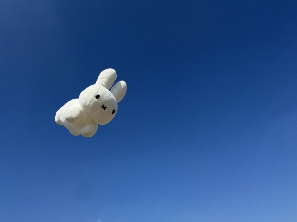 WildUsagi33's tweet photo. 金曜の空にうさぎ舞う https://t.co/pRBbUGoeCM