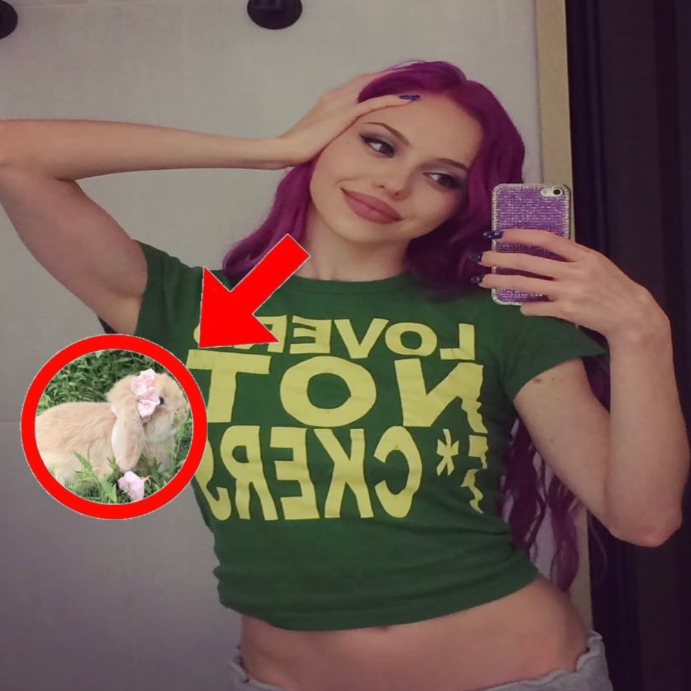 adelasbunny's tweet photo. Also, coneheads saying ain’t in la is just a bad song is not tolerated either ❌❌❌❌no hate to either of these bunnies will be allowed https://t.co/SSsPqwaAdX