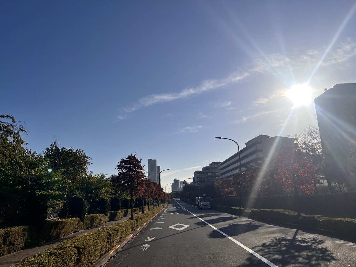 greenpost's tweet photo. 午前7:30 晴
#ymd20261016 #東京 #国分寺 #気温+19度 #東京2026 #greenpost https://t.co/mMvvfZzSdY