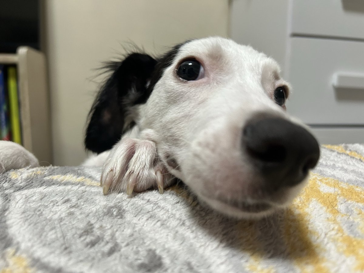 beimmunity's tweet photo. #nariztwt https://t.co/34czovKroN