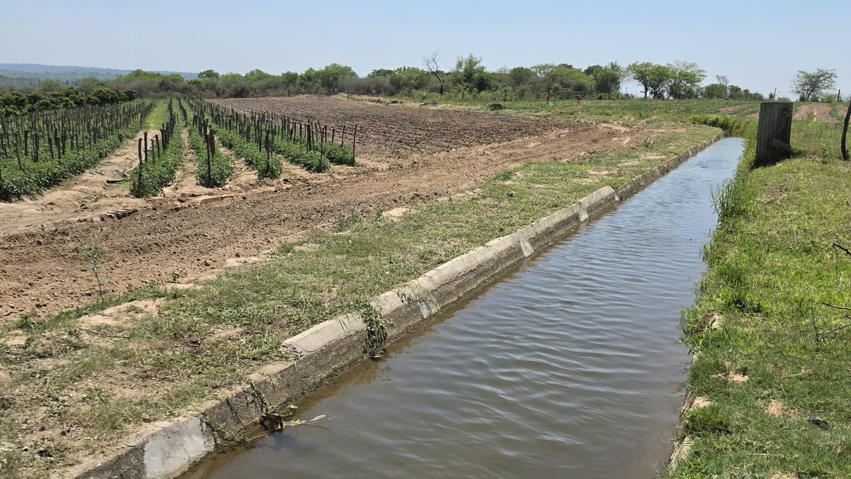 MpuDardlea's tweet photo. MEC Khethiwe Moeketsi visited Dingleydale Irrigation Scheme farmers near Thulamahashe after she had visited the group shortly after heavy rains caused devastation in January this year.  She also encouraged them to register as suppliers at the Mpumalanga International FoodMarket. https://t.co/x0eSC8Q3bx