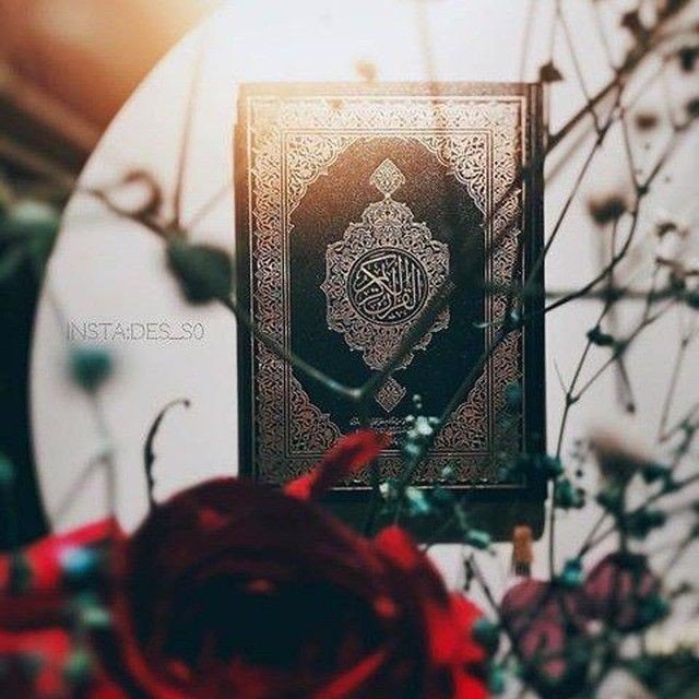 rusulwr's tweet photo. قُلْ نَزَّلَهُ رُوحُ الْقُدُسِ مِن رَّبِّكَ بِالْحَقِّ لِيُثَبِّتَ الَّذِينَ آمَنُو وَهُدًى وَبُشْرَى لِلْمُسْلِمِينَ✨🌿❤️ https://t.co/FZKVc65kdM