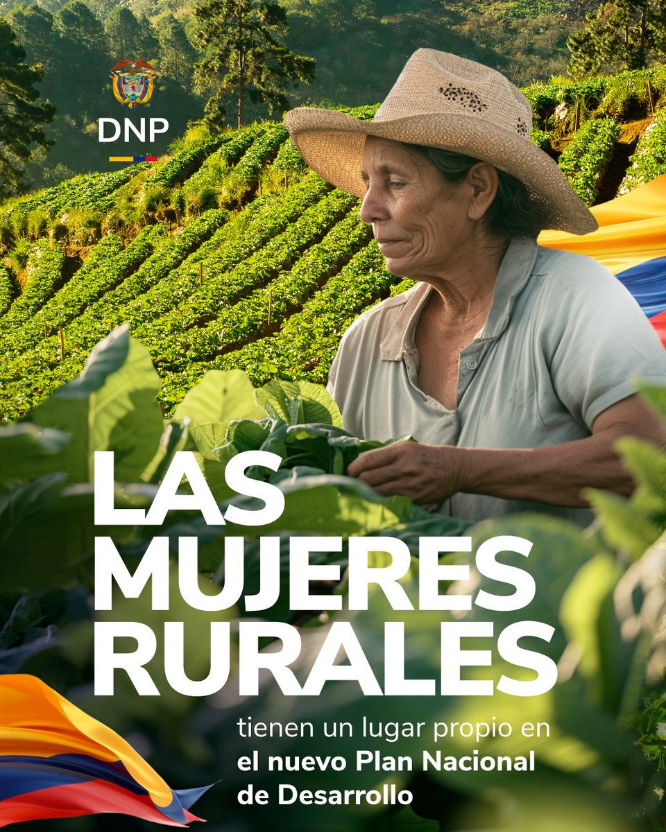 DNP_Colombia's tweet photo. En #LaPatriaMilagro, las #MujeresRurales tienen un lugar propio en el Plan Nacional de Desarrollo 2026–2030, que estamos construyendo. 

En su día, te contamos por qué y qué proponemos para ellas 🧵 https://t.co/YKBkkqdCKy