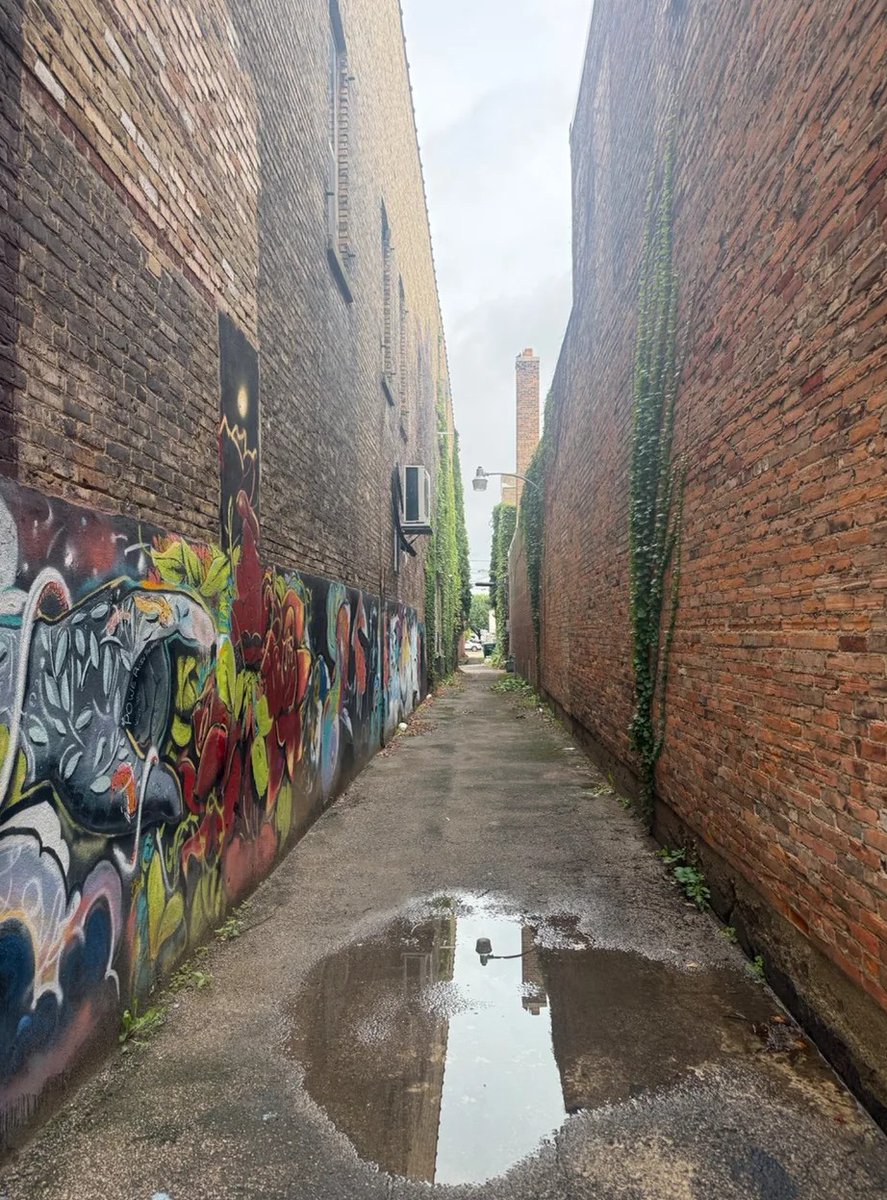 jayhendman's tweet photo. I was walking past this alley and had to stop. The puddle made it look like there was another alley underneath it. https://t.co/hAdZ4jVmCy