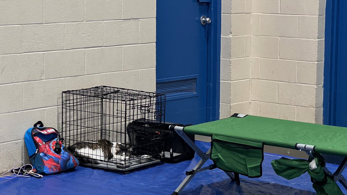 LACityPets's tweet photo. Earlier today, LA Animal Services' staff from our North Central Center provided emergency supplies to the Bellevue Recreation Center to aid with displaced animals due to the ongoing fire. https://t.co/9LMkQSM1wB