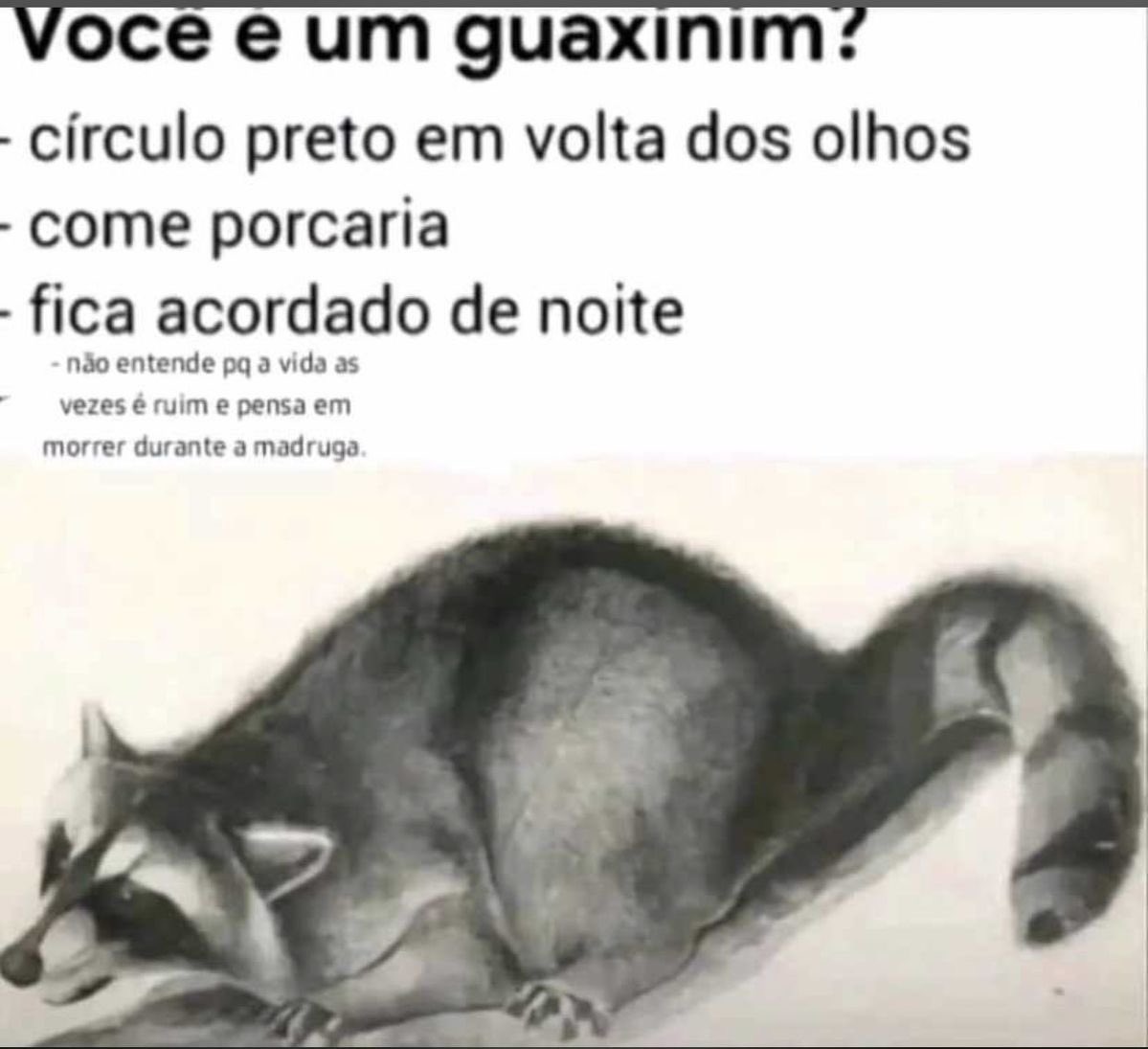 shitpostverdade's tweet photo. https://t.co/W3WzPE3kKK