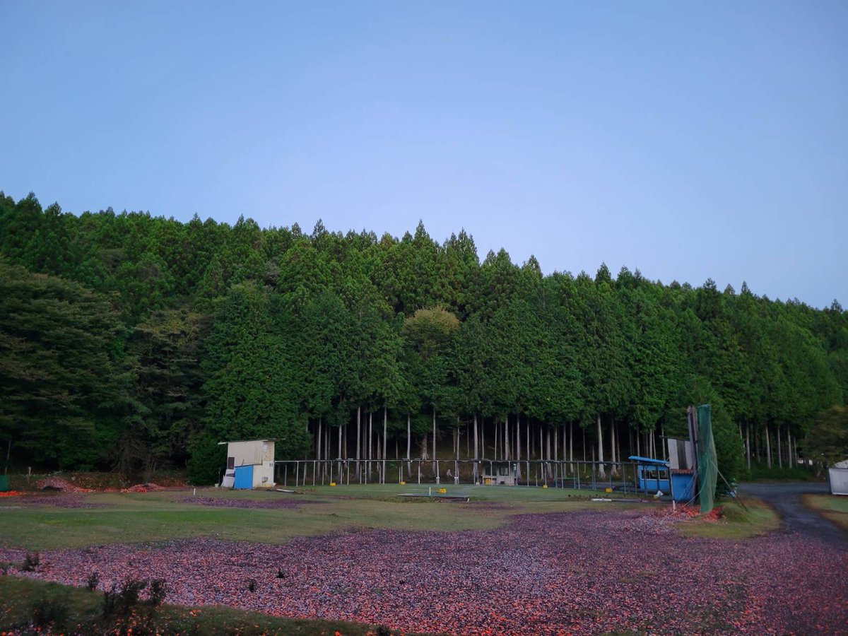suyamashooting's tweet photo. おはようございます☀
10月16日（金）今朝の須山情報です。
天気　晴れ☀️
気温　8℃→21℃
風　　微風
本日はA面、B面予約が入ってます。
秋晴れの須山🍂
ご来場予定のお客様は軽めの上着をご持参の上ご来場くださいませ。

本日も皆様のご来場スタッフ一同心よりお待ちしております。 https://t.co/GR6YsF6gOs