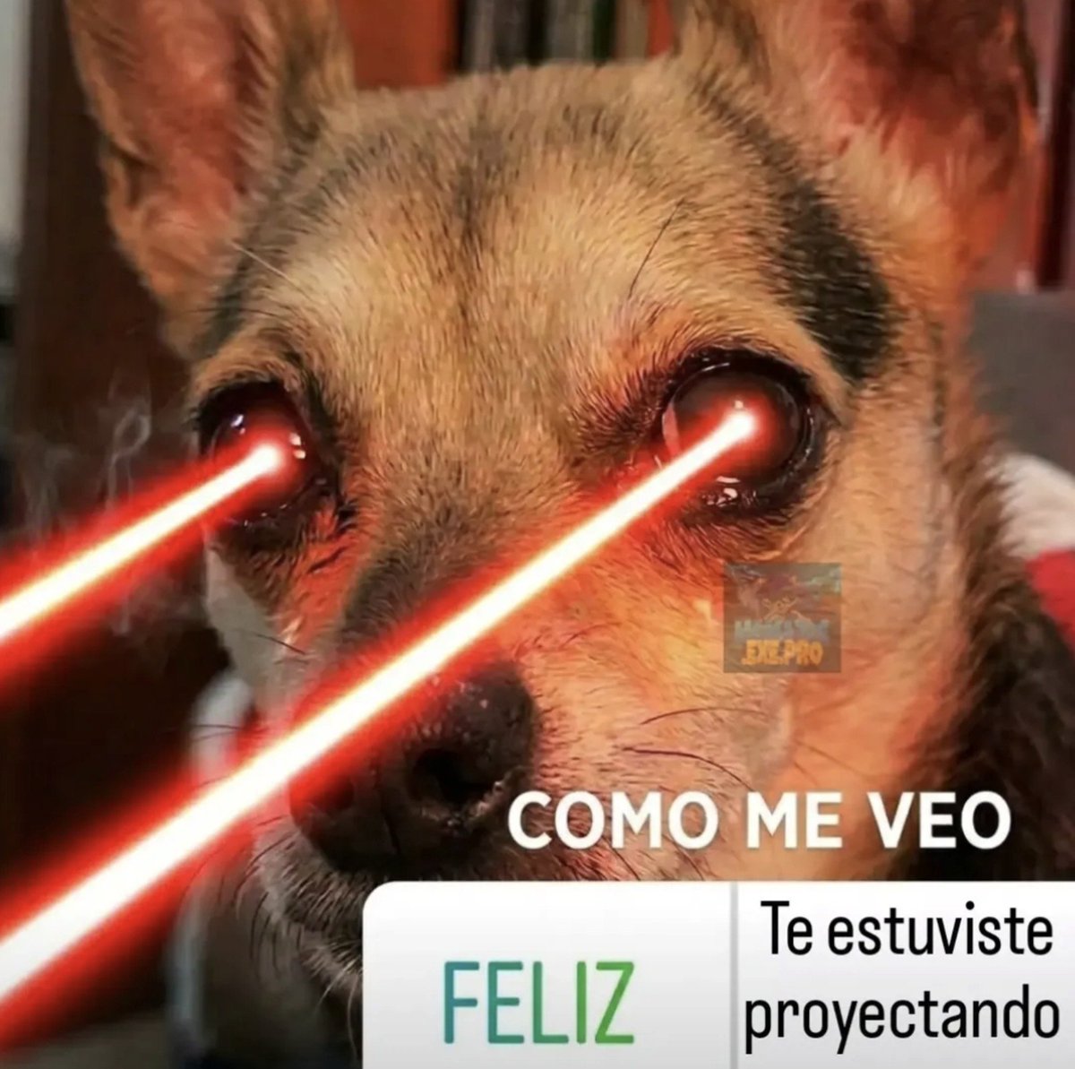 killmyaffairs's tweet photo. yo cuando entro a twt https://t.co/vVuXKfJw1v