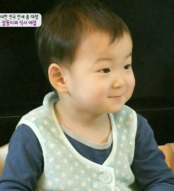 denden2046's tweet photo. Good morning from my babies (Song Triplets) sila talaga naging stress reliever ko during pandemic grabe hehe kaka tuwa pa is naging bias ko sila isa isa hahaha Ngayon team Manse ako😍🥰
Kilala nyo po ba sila?
Sino bias nyo?
Daehan, Minguk, or Manse?
#Daehan
#Minguk
#Manse
#SongTriplets