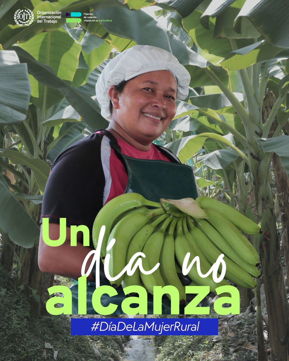 OITAndina's tweet photo. ¿Qué pasa si ellas dejan de trabajar? 🌱👩‍🌾

El campo se sostiene con las manos de las mujeres.

Su trabajo merece reconocimiento todos los días: salarios justos y condiciones de trabajo decente.

Este #DíaDeLasMujeresRurales, hagamos que sus derechos crezcan con el campo. https://t.co/wqnEcjVYHt