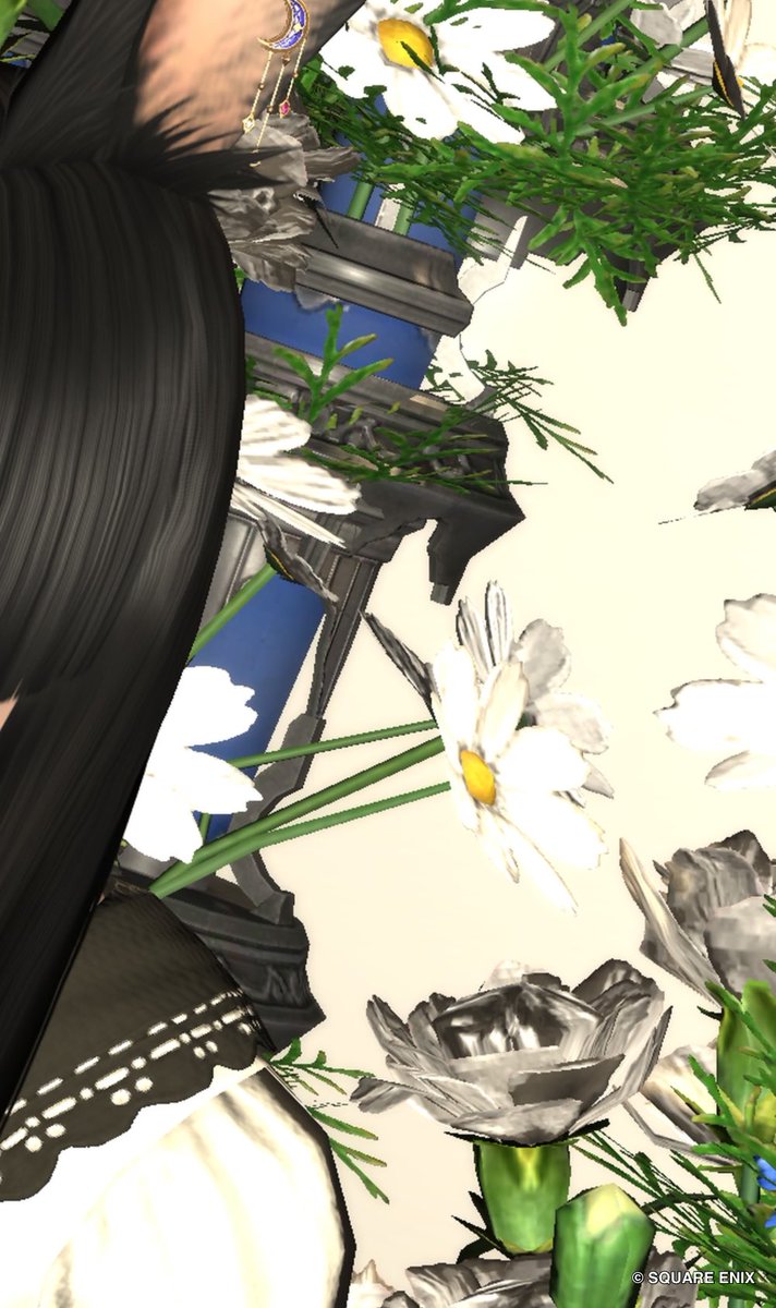 Maiden_viera's tweet photo. #eo_Re #おはウサ #ヴィエラ
#FF14SS #もかツール https://t.co/itt9pbMY8D