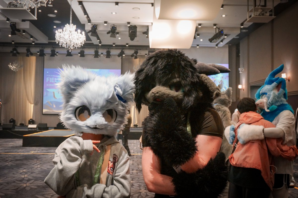 NickTheGoofball's tweet photo. They almost formed a thought...
#FURRAID #FURRAID2026 https://t.co/EgQwI1gcZ5
