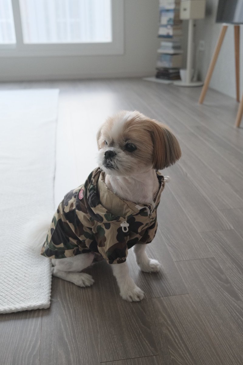 rabokhee24's tweet photo. 근무중 이상 무 https://t.co/bJWx7irDB3