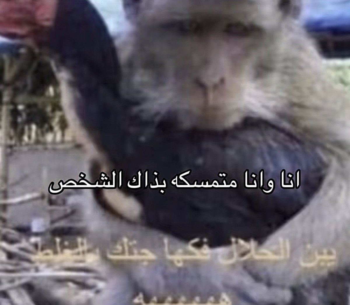 shqcn's tweet photo. @6aziz7 والله البلشه https://t.co/TCDFPgn50Z