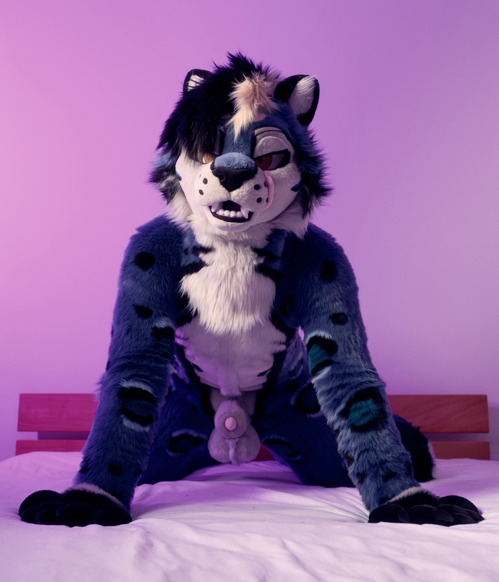 DaxSnep's tweet photo. Run~ 

📸 - @BrandyTheWuff https://t.co/AQEA7H8RgX