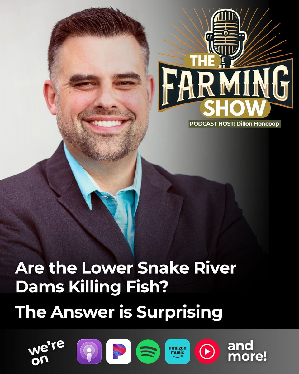 savefarming's tweet photo. The embattled Lower Snake River dams are being accused of killing fish — by a pro-dam advocate! But the reason is not at all what you might expect.

🎧 https://t.co/4qwCtET4D8

@armchair_engr
#thefarmingshow #snakeriver #salmon #farming #agriculture #infrastructure #pnw #waleg https://t.co/vkE3lHfKXS