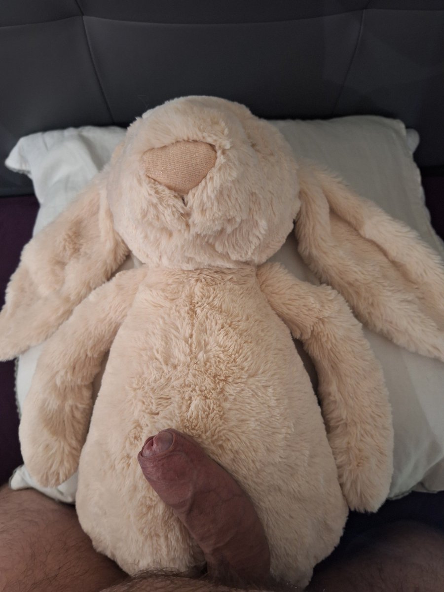 Bambi2Simba's tweet photo. #plushophile #plushophila https://t.co/kOwGqY5eGf