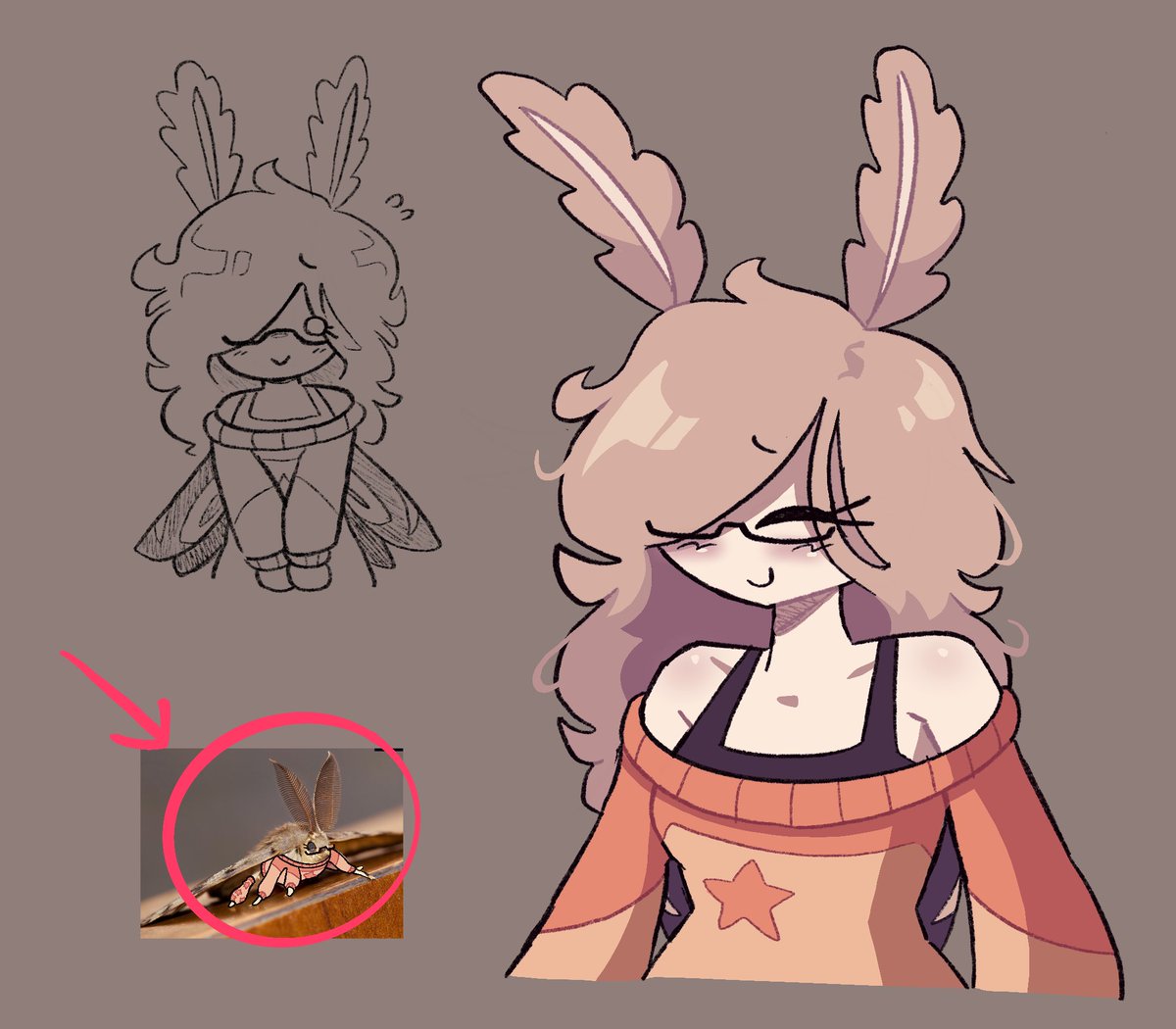 theenderestman's tweet photo. hehe moth oomfie https://t.co/cogJwmPo6d