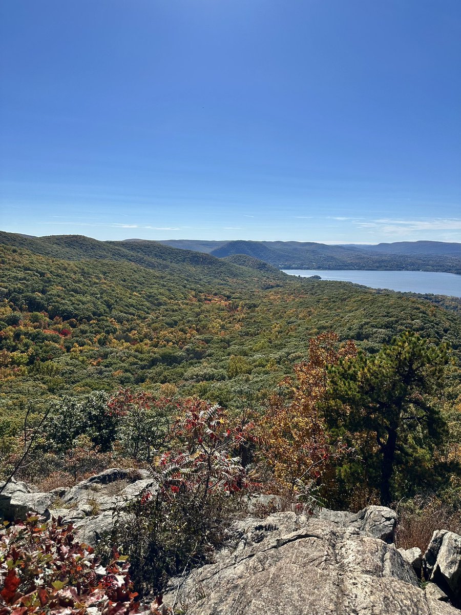 anenium_'s tweet photo. hiked my ass off for some leaves https://t.co/WTzu9ojmEe