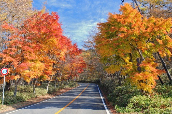 Mu_kikaku's tweet photo. 【ツーリングスポット】

日塩もみじライン

鬼怒川温泉と塩原温泉とを結ぶ全長28kmの観光道路

例年10月下旬〜11月上旬にかけての見事な紅葉は「もみじライン」の名に相応しい〜🙆

富士見台の展望台からは、女峰山や霧降高原など、日光の秋の風景を一望できます〜🏍️💨🙌
https://t.co/kBJVOz9zxg https://t.co/x3klBj3SE7