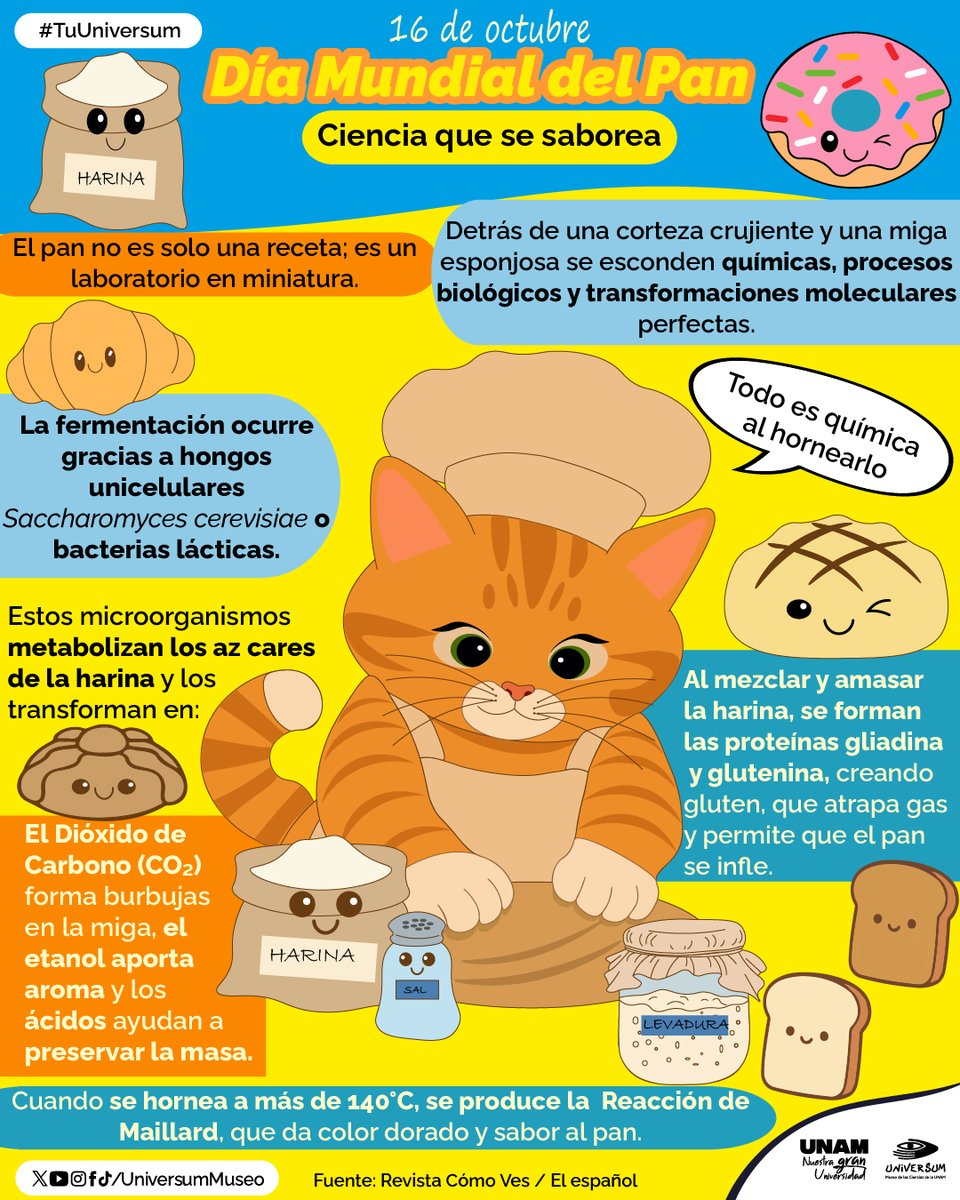 UniversumMuseo's tweet photo. Coméntanos ¿con qué pan celebrarás este día?🥐😋

#TuUniversum https://t.co/aSxM2GRxnR