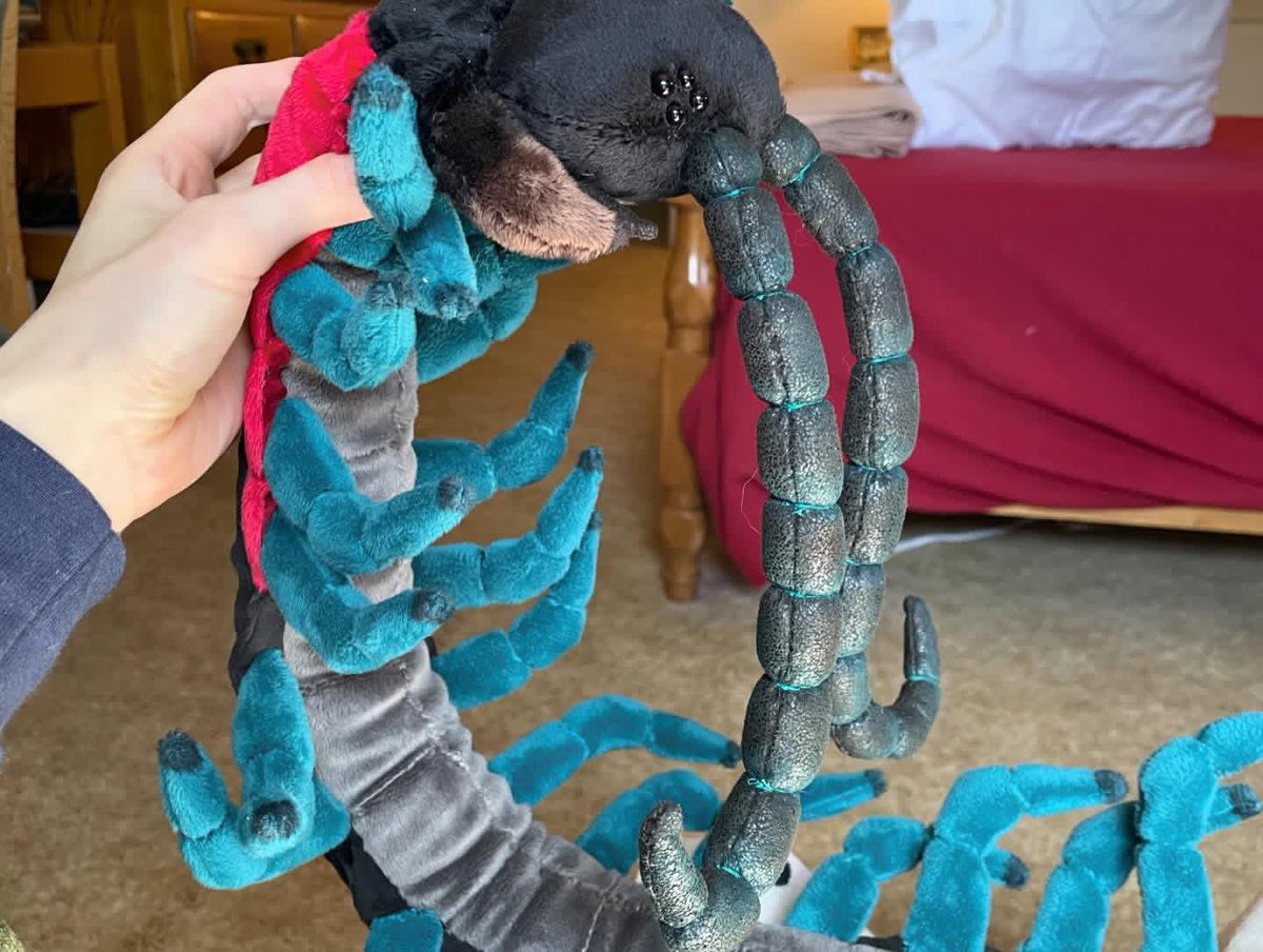 nvolpewild's tweet photo. WOAH WAIT WHAT??? I just found this CENTIPEDE PLUSHIE someone made with inspiration from my photo!?
This is the coolest thing ever??? 🤯🤯
Look at the SIZE OF IT! https://t.co/P6gVr3n0s8