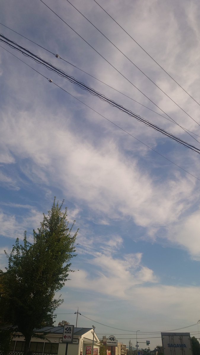 SOOkyoto's tweet photo. おはようございます。
まーるです🥰
本日の京都の天気は☀です。
秋日和です。
朝と夜の寒暖差が激しいので
上着持参しましょう！
本日もよろしくお願いします。

#企業公式
#企業公式が地元の天気を言い合う
#秋 https://t.co/LBtcI1tY5x
