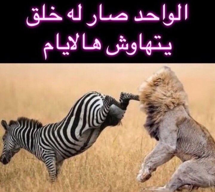 liusa21's tweet photo. بدايه اكتوبر: https://t.co/ITd0QNgFEa