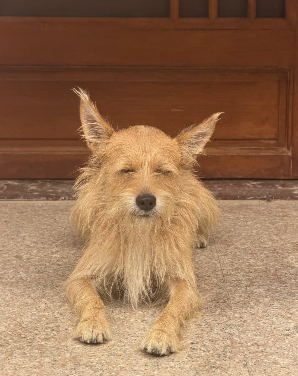 twaniimals's tweet photo. https://t.co/OLYwS0VWE8