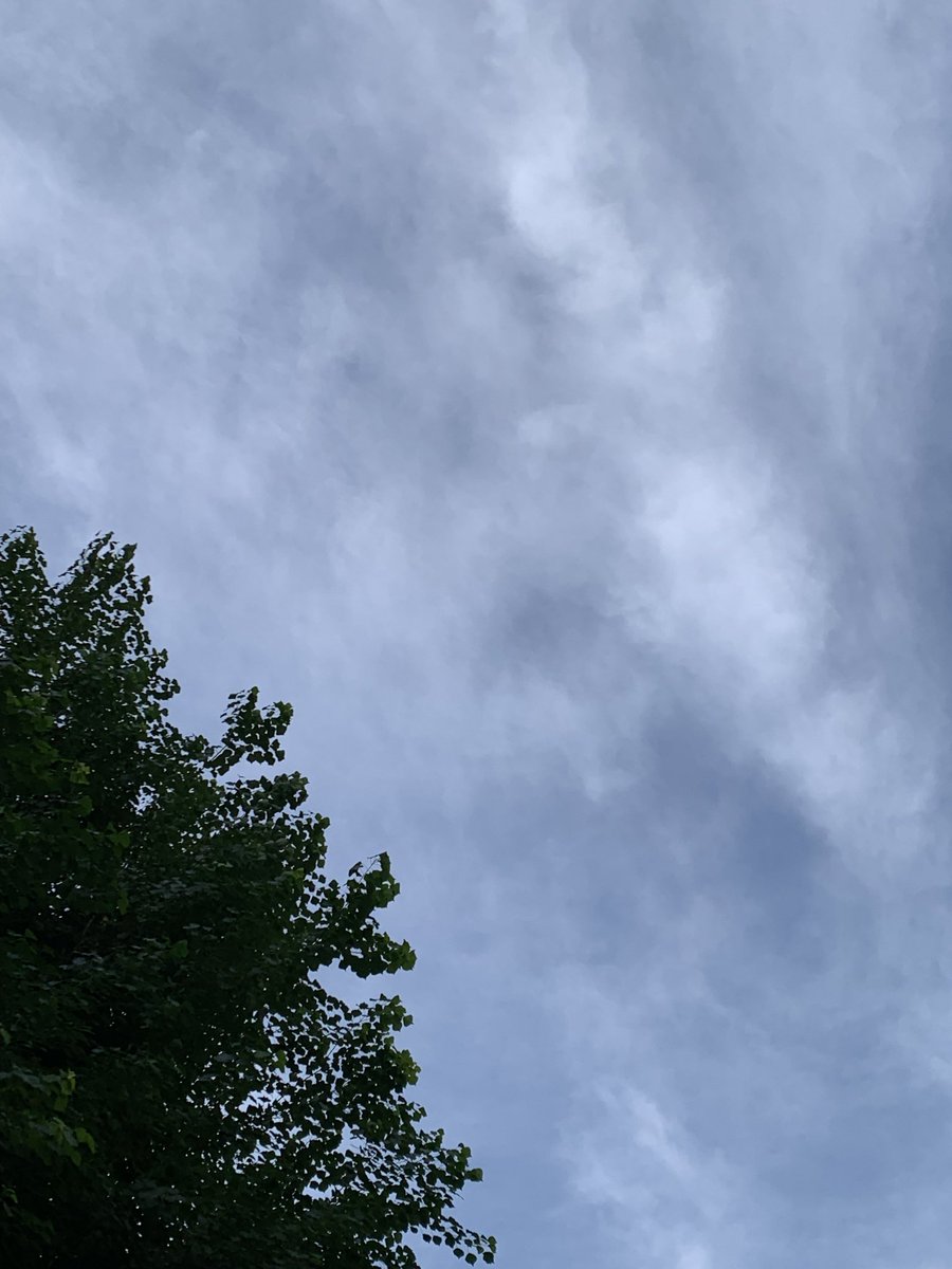 kaju319's tweet photo. おはよ、金曜日☀️
社員旅行2日目、今日は移動距離長め
今日もにっこりでいこう
よき日になりますように🍀
#れおふぁみ https://t.co/9LFO9wgYF3