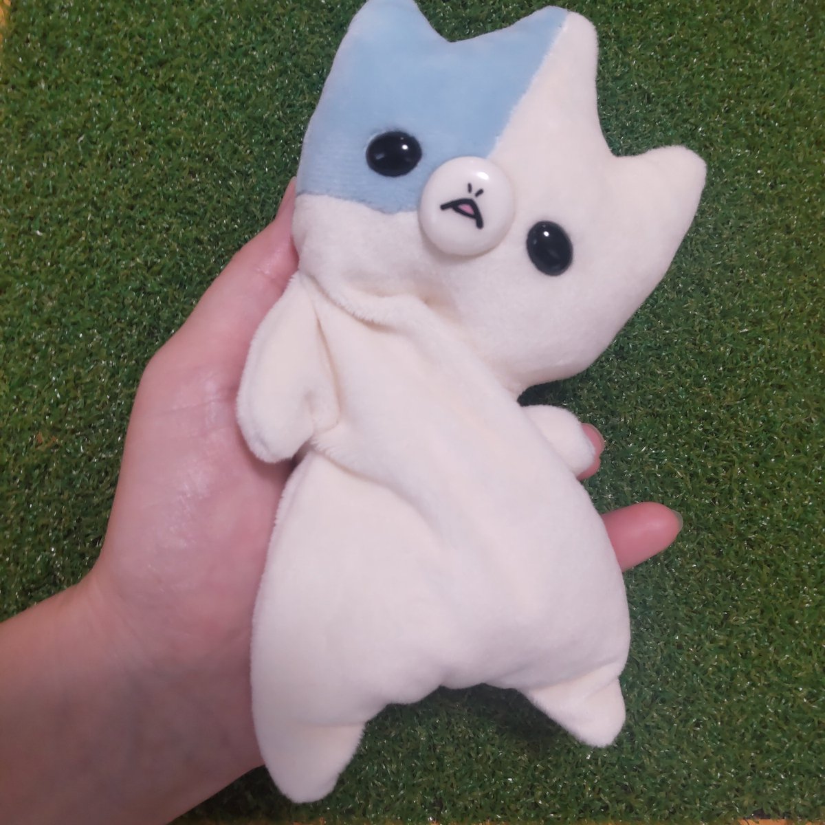 debaba1225's tweet photo. 水色ブチ柄もいい感じ💙

#ぬいぐるみ
#ぬい撮り
#ハンドメイド
#あちゃ https://t.co/uFgznYjFtB
