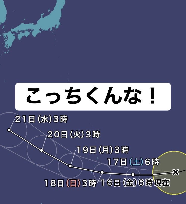 hashirusake tweet picture