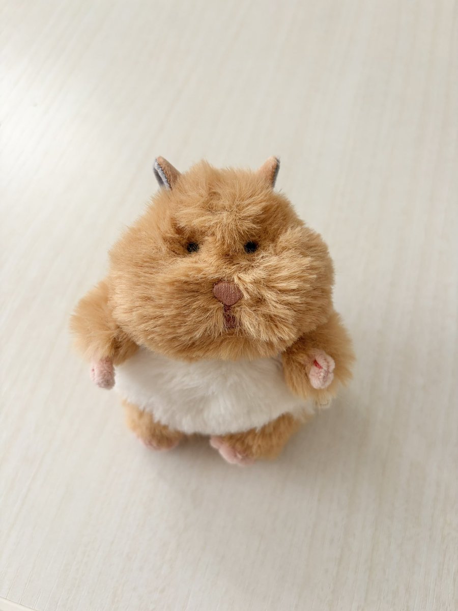 mimoomim00's tweet photo. 新しい子をお迎えしました🪽
きゃらめるです。キリッとした感じがあって
ももちゃんのこと守ってくれそう🍃

#はむにぎり https://t.co/wZsOkylJX1