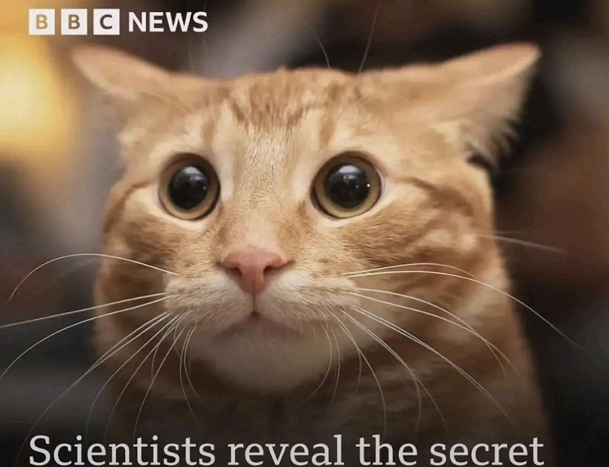 moegrave's tweet photo. scientists reveal the secret https://t.co/X8i2kPLu4k