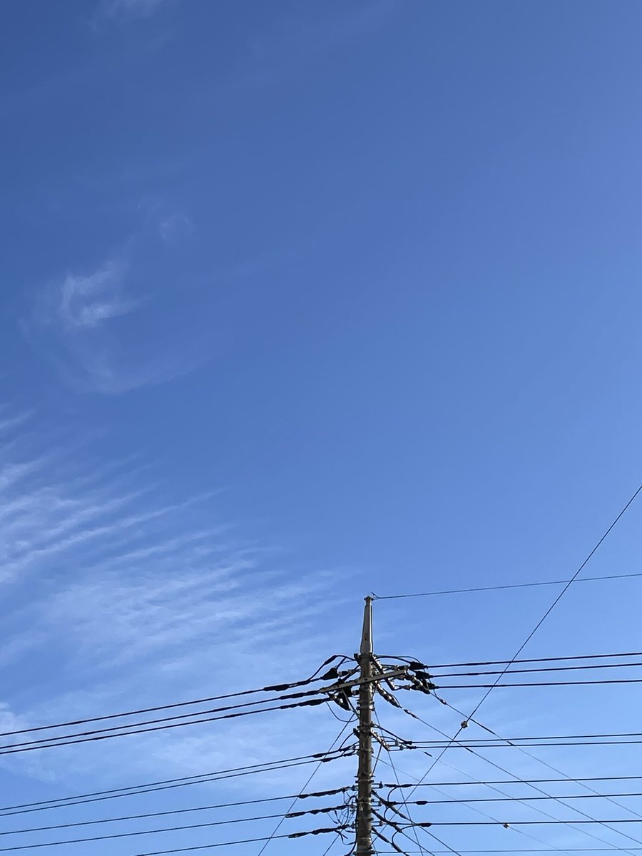 fujio5656's tweet photo. 10月16日
おはようございます。
流れる雲が綺麗です。
今朝はアサガオは咲いていません。 https://t.co/l1vC6m2Z02