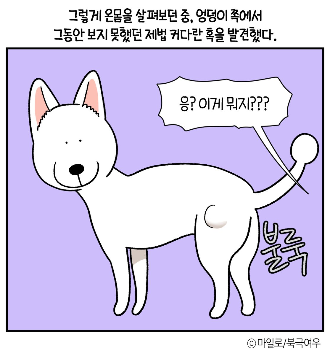 polarfox_comic's tweet photo. <극한견주>시즌2 153, 166화  🅄🄿 🐶

[무료회차] 153화 의문의 혹
[미리보기] 166화 응가 탐정 오픈되었습니다! (new)✨

🟨카카오페이지 https://t.co/gesCVz3lB7
⬛카카오웹툰 https://t.co/fQ34bKoUJl https://t.co/5EIiWniiSM