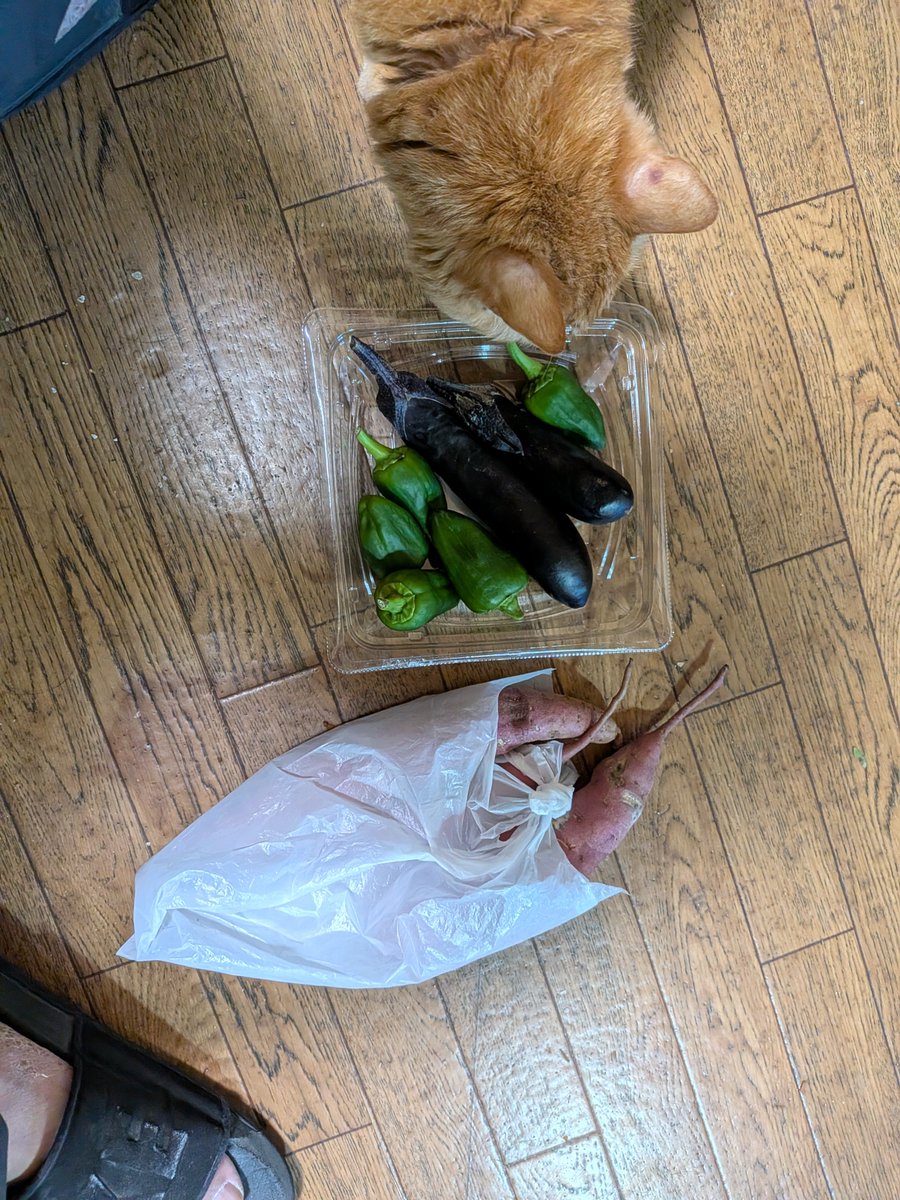 Bluebirdkazu's tweet photo. シスターからの頂き物😊

教会で採れた野菜等
焼き芋でホクホク頂きました✨
ありがたい事です���🍀🍀

残りのピーマンとナスはサラダにします

クックパッド頼りになる〜 https://t.co/nPEQ0JyaUl